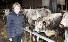 RPA response to coroner 'not good enough', says farmer's widow