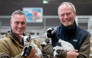 Farm celebrities confirmed for the 165th Great Yorkshire Show