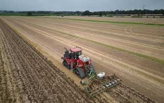 The benefits of drilling oilseed rape later