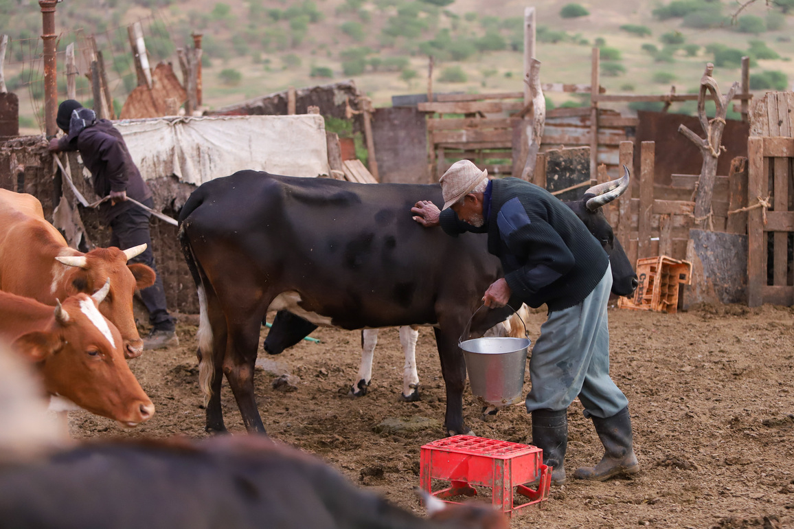 CAPE VERDE-DAILY LIFE-LIVESTOCK FARMING FAMILY