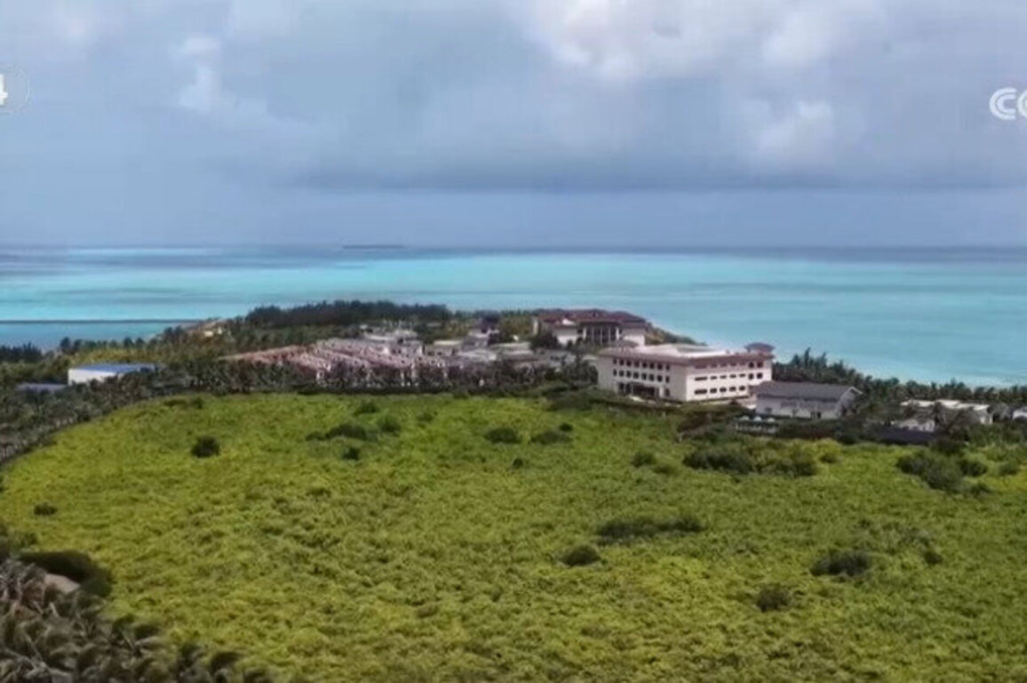 Tree-planting drive boosts island ecology in South China Sea
