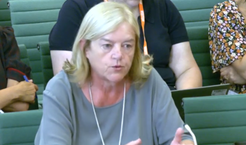 Baroness Casey (c) Parliament TV 