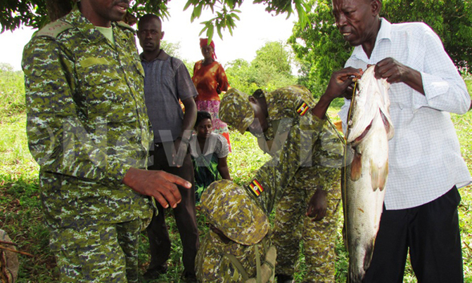 UPDF impounds 18 vehicles for transporting immature fish UPDF impounds 18 vehicles for transporting immature fish