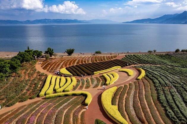 Solid progress in China's green development in 2021-2025