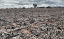 Rainfall last month was appreciated but many south-eastern regions of Australia will still struggle to reach average crop yields.  