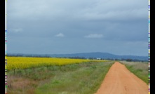 The NFF says the ACCUs system lacks farmer representation. Picture Mark Saunders. 