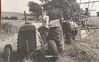 Remembrance Day: War Agricultural Executive Committees could take farmers' land in WWII if not productive enough
