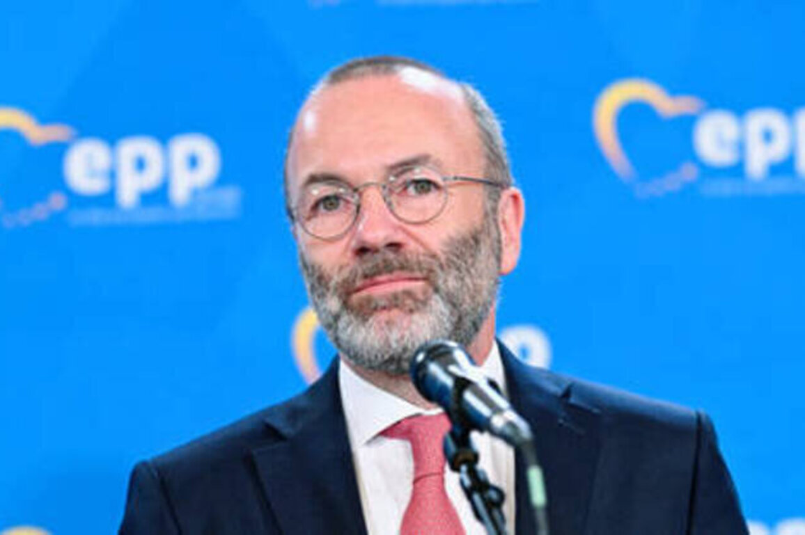 Head of EU Parliament's biggest faction wants German soldiers in Ukraine