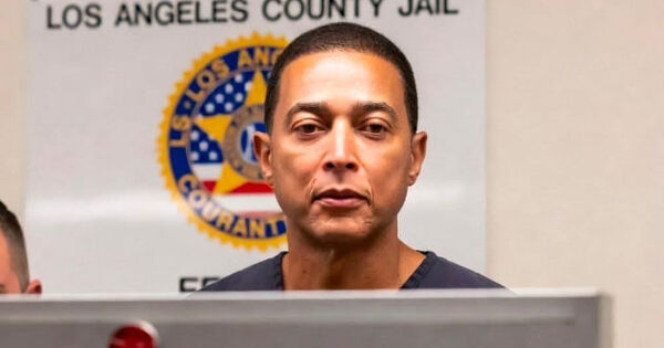 Journalist Don Lemon held for violating federal civil rights , released