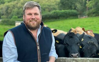 In your field: James Wright – "Westminster can meltdown all it likes. Out in the real world, the cows still need moving and the pubs still need regulars"