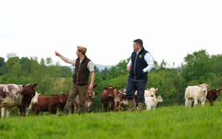 Partner Insight: People, systems and decisions - designing livestock farms for the future