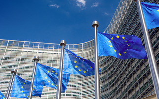 Major investors worth €6.6tr urge EU to stand firm on sustainability disclosure rules