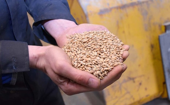 Grain sampling falls to the responsibility of the grower following concerns over health and safety