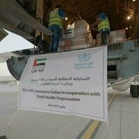 UAE: Two years of peace diplomacy confronting ambitions, deception of 'Port Sudan Authority'