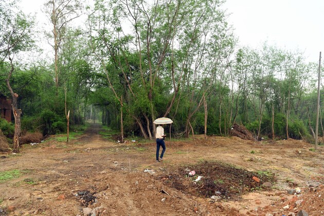 Raidurg land auction sets record as Telangana earns Rs 3,135 cr from two plots