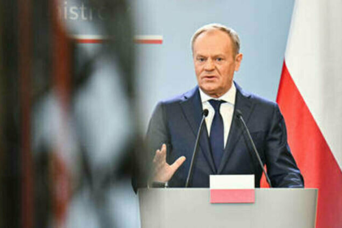 Polish PM plans to double size of army