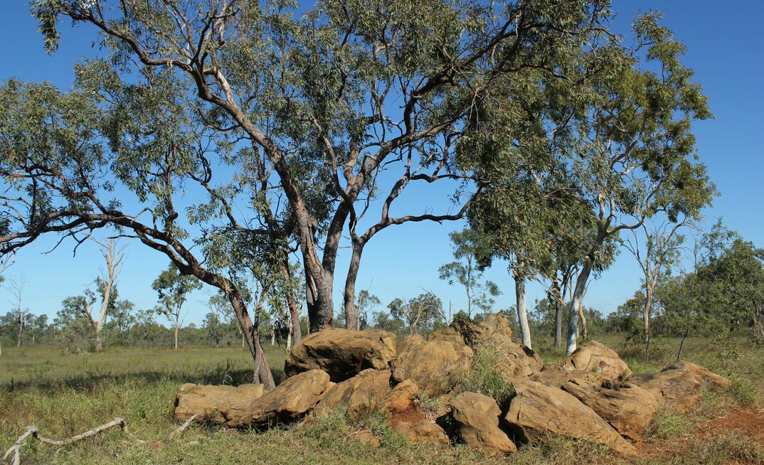 Winchester South will involve clearing 2000 hectares.