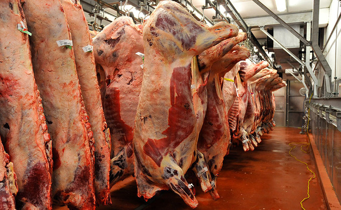 Investment in existing rather than new abattoirs the way forward