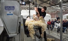 Shearing without bending over