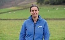 In your field: Kate Rowell - "Cows are wintering well despite the weather"