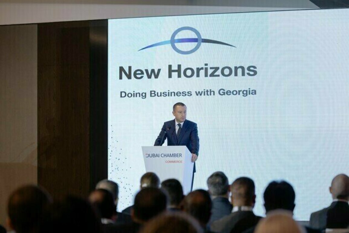 CEPA with UAE ushers in new era of strategic cooperation: Georgian official