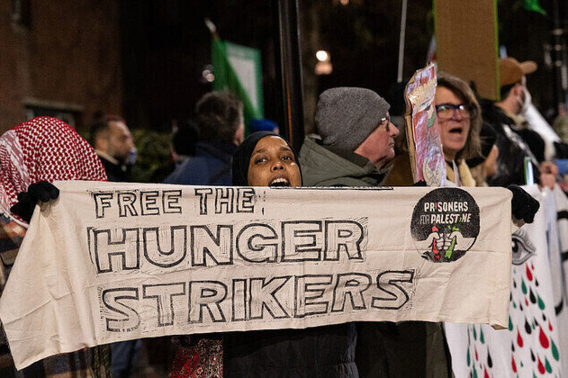 UK urged to act over Palestine Action hunger strikers