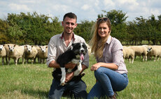Young Beltex breeder striving for success