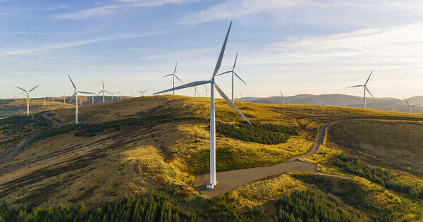 Wind power is not the harmless energy source liberals said it was