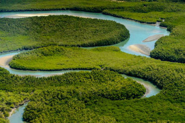 Two African island sites added to UNESCO World Heritage list (PHOTOS)
