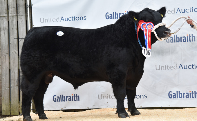 Overall and junior champion Duncanziemere Jet A590, from Alistair Clark, Ayrshire, which sold for 60,000gns, to David Walker, Nairn.