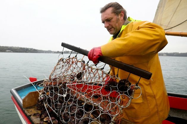 UK says it has reached &euro;333mn fishing quota agreement with EU