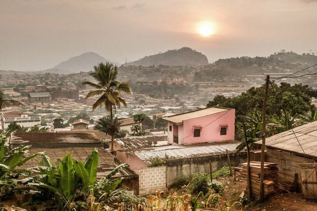 Cities: a &#039;cause of and solution to&#039; climate change