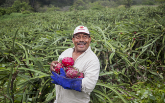 Innocent Drinks picks fruit and veg projects for £1m Farmer Innovation Fund