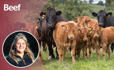 OPINION: Are we breeding out stockmanship from the next generation?