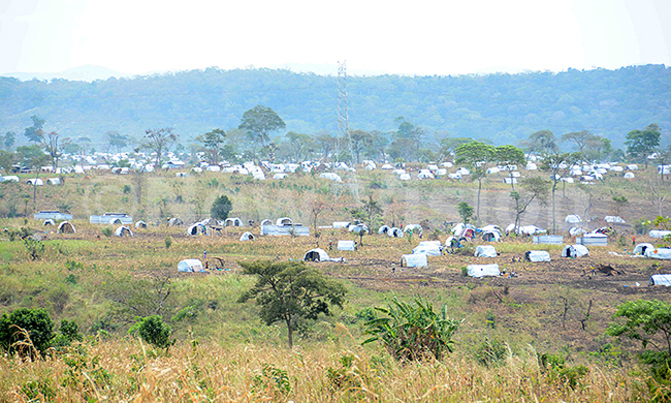 Govt to deploy security forces to guard Bugoma forest Govt to deploy security forces to guard Bugoma forest