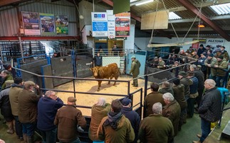 Quality and community at the heart of Leyburn Auction Mart