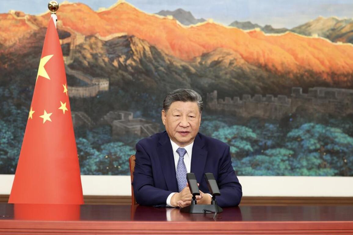 Xi's Album | Xi delivers video speech to UN Climate Summit 2025