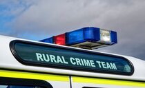Sheep theft shows a lack of 'respect for countryside and for what we do,' says farmer