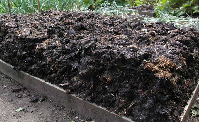 Can biological products cut costs without compromising crop yields?