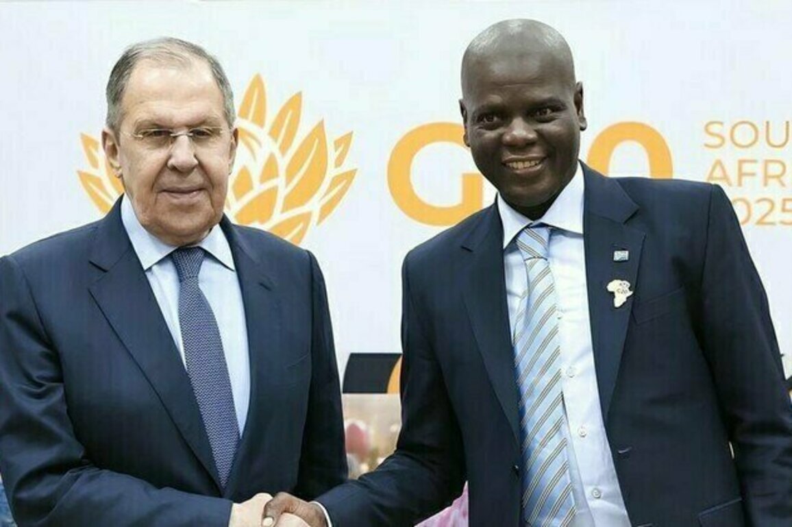 Russia and BRICS state discuss partnership