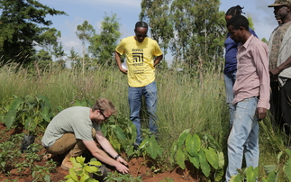 Credit: The Ripple Effect