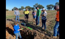  Dr Cassandra Schefe talked soil carbon, pH and carbon trading at a recent soil pit event. Picture courtesy Riverine Plains.