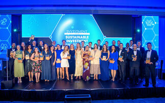 On the night gallery: Sustainable Investment Awards 2025