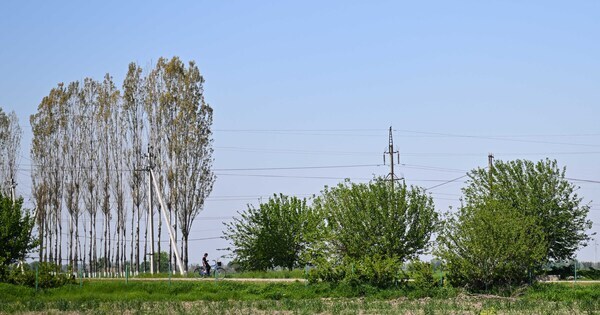 UZBEKISTAN-TASHKENT-SPRING-DAILY LIFE