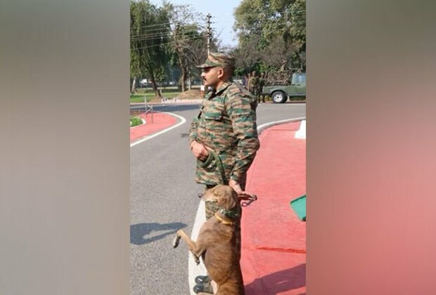 Jammu: Army honours sniffer dog 'Teena' for exemplary service