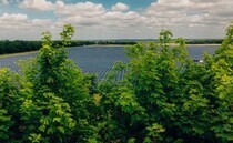Proposal to build solar and battery storage site on agri-land given consent by Gov