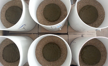 New research has shown dung beetles can drastically reduce greenhouse gas emissions from decomposing cattle manure. Pictured are test chambers used in the research.