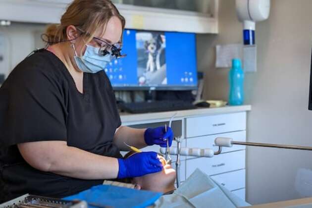 Half of requests for complex dental work are being rejected under national insurance plan