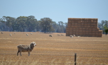 Broadacre and cropping land values continue to rise.