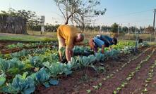 Assentamento de terra agricultura ocupação